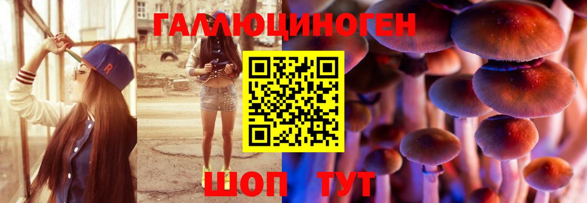 Псилоцибиновые грибы GOLDEN TEACHER Ирбит